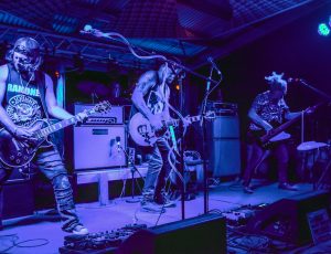 Walsh River 1 with Crippsy